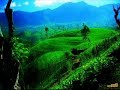 neka uyan