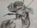 My Smallest Art Portfolio EVER 2009