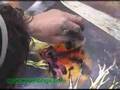 Spray-paint-artist