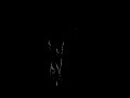Click here to watch this video Jorge - Crazy Whistling Comets.mp4
