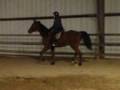 1/8/09 riding lesson 1/8/09 riding lesson