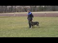 Andy Heeling