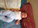 Nicolas