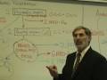 videos de Professor Fink explains CELLULAR RESPIRATION (Part 6); Krebs Cycle; Electron Transport Chain
