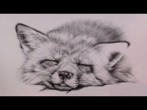 video-linktoworks-How to Draw Realistic Animal Fur with Pen & Ink