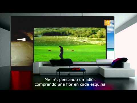 Camilo Sesto - Mis Flores Distintas
