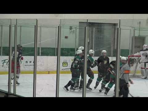 Emerson Goode Hockey Highlights