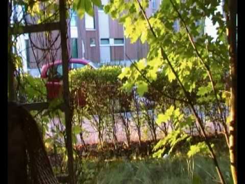 search engine youtube cut tari ariel high quality bokep flv youtube