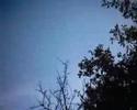 Les extraterrestres sont parmis nous