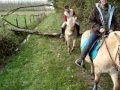 videos de balade dans la flotte et les bois