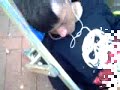 el desvelo del famraceutico
