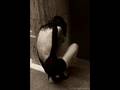 Leere Momente