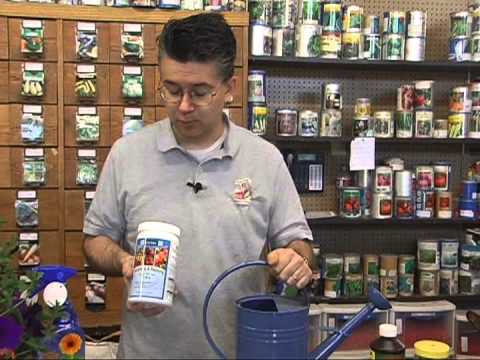 how to fertilize hanging baskets