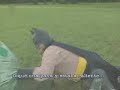 Batman- cha cha cha