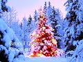 Ninge iar.wmv