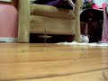 Gyroscope Gyroscope