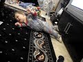 my son trying to crawl