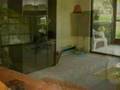 5635 Golf Pointe Drive #102