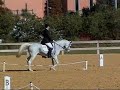 LuLu Dressage.wmv LuLu Dressage.wmv