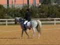 videos de LuLu Dressage.wmv