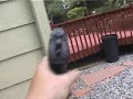 The Wallet