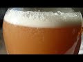 Second Day of Fermentation