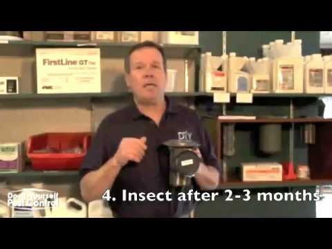 how to treat termites on your own