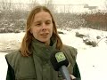 Koude zorgt voor drukte bij vogelopvangcentrum