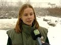 Koude zorgt voor drukte bij vogelopvangcentrum