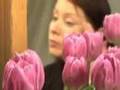 Suzanne-Vega-Documen