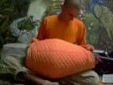 Mridanga Bhajana style