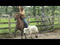 TEAM ROPING BY RANCHO MENDON�A