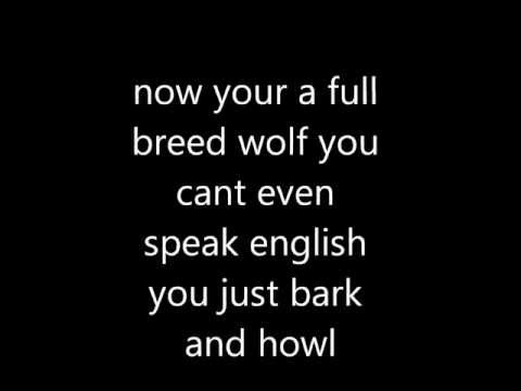 WOLF HYPNOSIS no voice