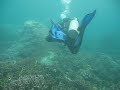My Dive Guru
