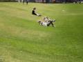 videos de 046