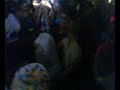 SouthBank Shubz 2