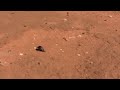 A Bug on the Playing Field