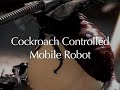 The Cockroach Controlled Mobile Robot
