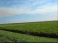 Tom 2 L Days lake O ride_Part 1.wmv