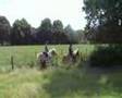 videos de Lits+Lauwers035 It-Leech02