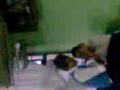 arreglo entre profesor y alumno