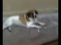 blopper en el plumerillo