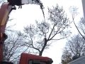 mikepoor crane removal
