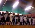 Estudiantinas 6