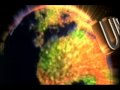 Matar o Morir El salvador.wmv