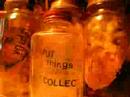 i collect by ingrid k brooker i collect by ingrid k brooker