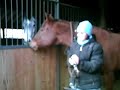 A Better way to Bridle