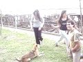 JAJAJAJAJA Rosarinos ene l club mitre!
