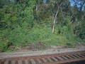 MNRR Dead tracks