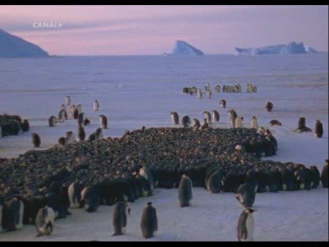 Imagen de previsualización de YouTube